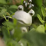 فندق مبيت وإفطار La Maison Des Copains