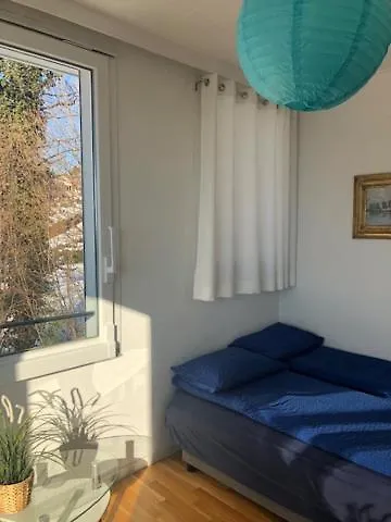 La Maison Des Copains Alojamento de Acomodação e Pequeno-almoço Blonay