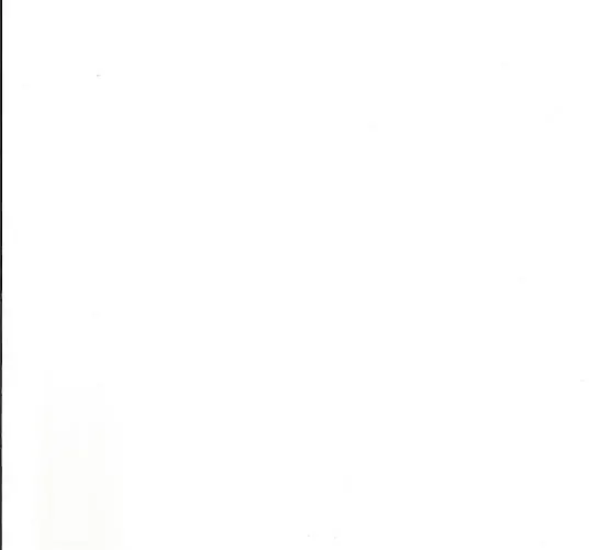 La Maison Des Copains