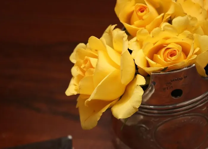 La Maison Des Copains 3*