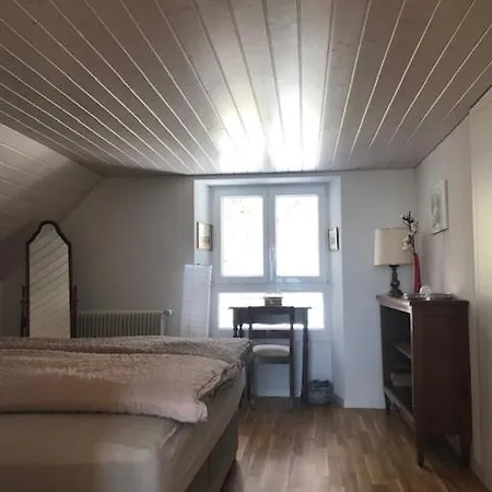 La Maison Des Copains Blonay