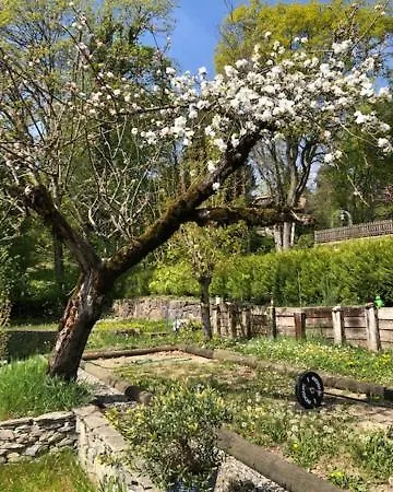 La Maison Des Copains Bed and breakfast Blonay